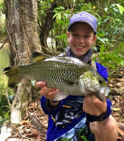 Zerek Absolute Shrimp 23 Zerek Absolute Shrimp -Fishing Promotion Shop full 4737 IMG E3992