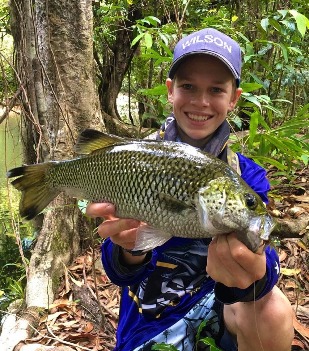 Zerek Absolute Shrimp 8 Zerek Absolute Shrimp - Image 6