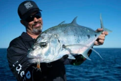 Zerek Absolute Shrimp 28 Zerek Absolute Shrimp -Fishing Promotion Shop full 4739 DSC07970