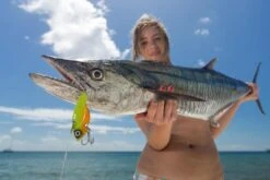 TT Switchblade HD Vibe 11 TT Switchblade HD Vibe -Fishing Promotion Shop full 520