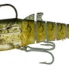 Zerek Flat Shad X Jig Head 1 Zerek Flat Shad X Jig Head -Fishing Promotion Shop full 5477 781FSXJH17004