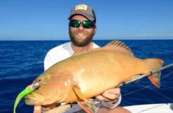 Tackle Tactics HeadlockZ HD Jig Heads -Fishing Promotion Shop full 777