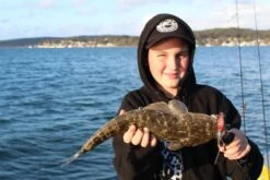 Tackle Tactics Jig Spinners -Fishing Promotion Shop full 890