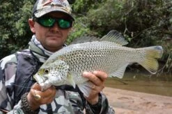 Tackle Tactics Jig Spinners -Fishing Promotion Shop full 904