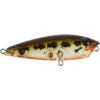Atomic Hardz Pop 50 -Fishing Promotion Shop gbs