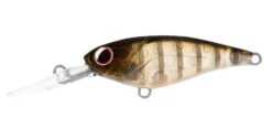 Daiwa Infeet Kodachi -Fishing Promotion Shop ghost perch