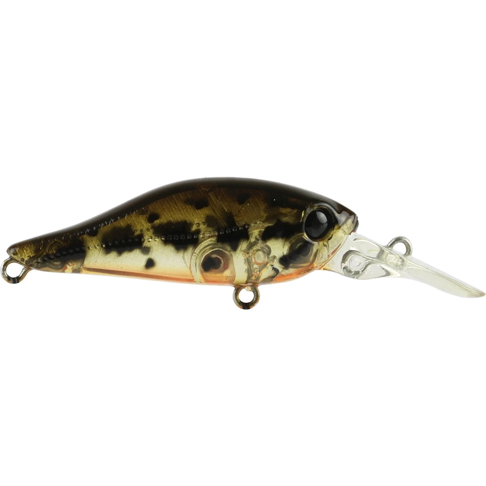 Atomic Hardz Shad Deep 40mm 11 Atomic Hardz Shad Deep 40mm - Image 9