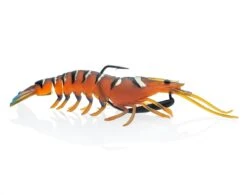 ChaseBaits Flick Prawn 22 ChaseBaits Flick Prawn -Fishing Promotion Shop green prawn 0ed81725 7203 4fcb 8fd9 d30ffdd671b1