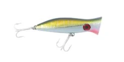 Halco Roosta Popper 80 -Fishing Promotion Shop h71 1 1