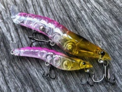 MMD Splash Prawns -Fishing Promotion Shop hot pink