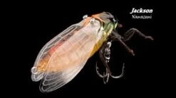 Jackson Namazemi Cicada-ABZ -Fishing Promotion Shop images 1