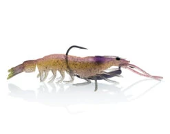 ChaseBaits Flick Prawn 23 ChaseBaits Flick Prawn -Fishing Promotion Shop jelly prawn d4debba7 e524 4903 8ed5 2d47dd893626