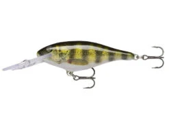 Rapala Shad Rap Deep Runner -Fishing Promotion Shop live perch