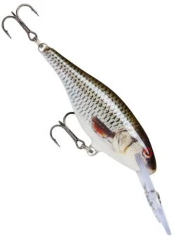 Rapala Shad Rap Deep Runner -Fishing Promotion Shop live roach