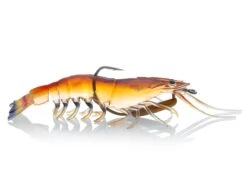 ChaseBaits Flick Prawn 18 ChaseBaits Flick Prawn -Fishing Promotion Shop native prawn cf41f826 ce01 4b6e bf00 36ee68a97081
