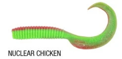 Berkley Gulp 6 Inch Grub Tail -Fishing Promotion Shop nuc chicken