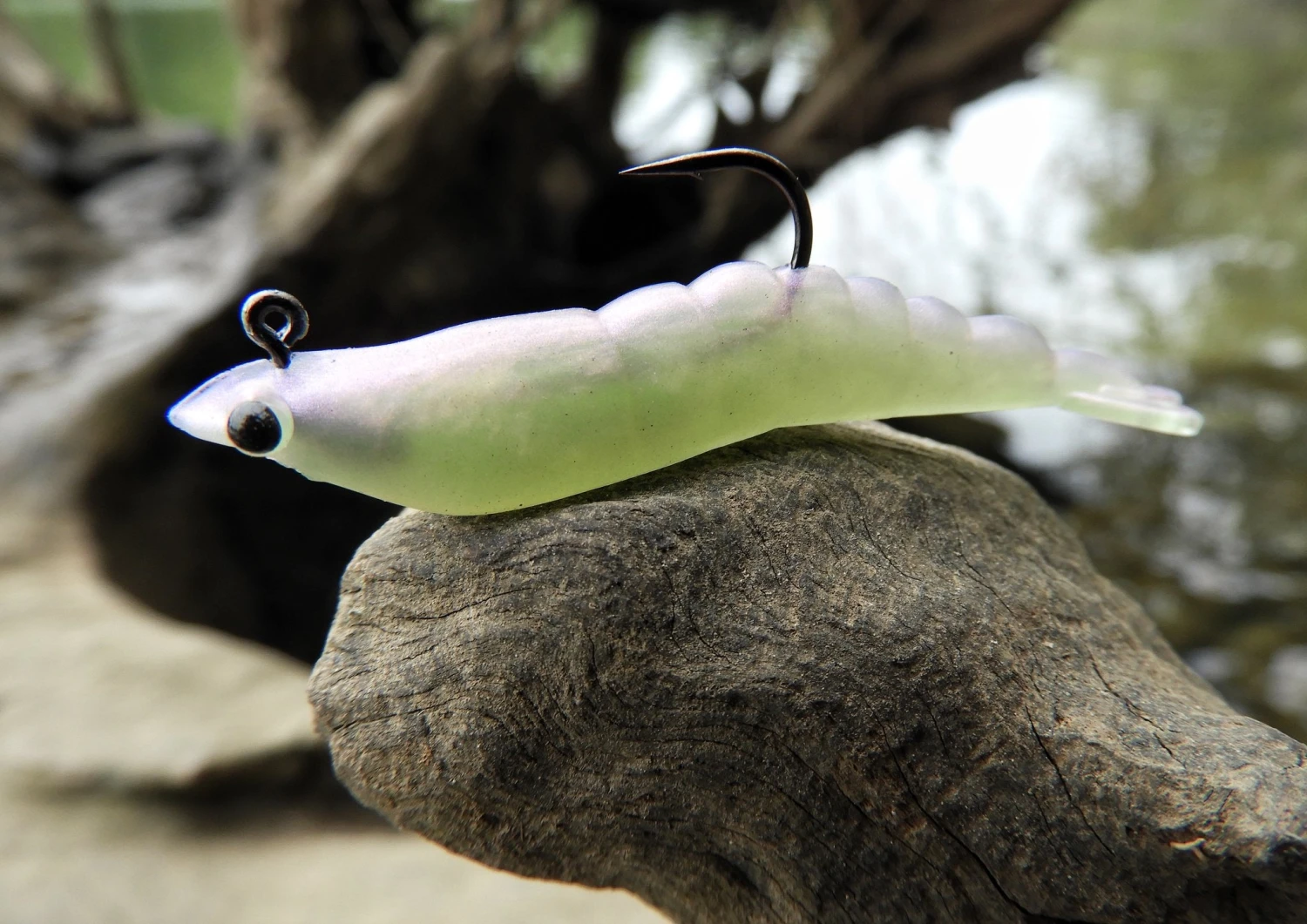 MMD Soft Prawn 6 MMD Soft Prawn - Image 4