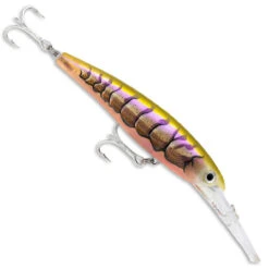 Rapala Saltwater XRap -Fishing Promotion Shop rapala sxrd11 pupu 86894