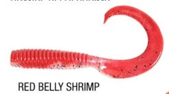 Berkley Gulp 6 Inch Grub Tail -Fishing Promotion Shop red belly shrimp