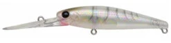 Jackson Jester -Fishing Promotion Shop sac