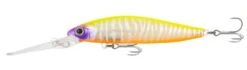 Samaki Redic DS100 -Fishing Promotion Shop samaki redic ds100 cleopatra 1 1