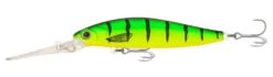 Samaki Redic DS100 -Fishing Promotion Shop samaki redic ds100 firetiger 1 1