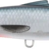 Samaki Pacemaker DD Series Lures