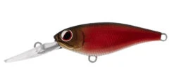 Daiwa Infeet Kodachi -Fishing Promotion Shop sheer red