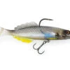 ChaseBaits Live Whiting -Fishing Promotion Shop silver 7fb60c7f 882a 4f2b 8992 5210a0c5a34e