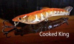 MMD Splash Prawns -Fishing Promotion Shop splash prawns cooked king