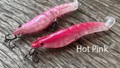 MMD Splash Prawns -Fishing Promotion Shop splash prawns hot pink