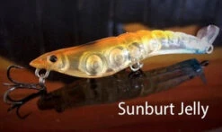 MMD Splash Prawns -Fishing Promotion Shop splash prawns sunburnt jelly