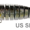 Biwaa S-Trout -Fishing Promotion Shop us shad